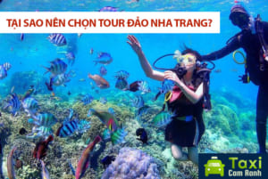 Tại sao nên chọn tour đảo Nha Trang? Lặn san hô ở Nha Trang